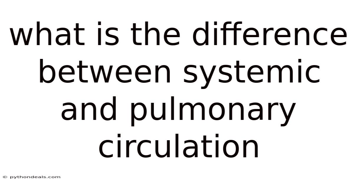 What Is The Difference Between Systemic And Pulmonary Circulation