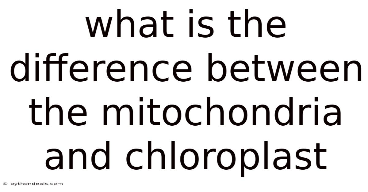 What Is The Difference Between The Mitochondria And Chloroplast