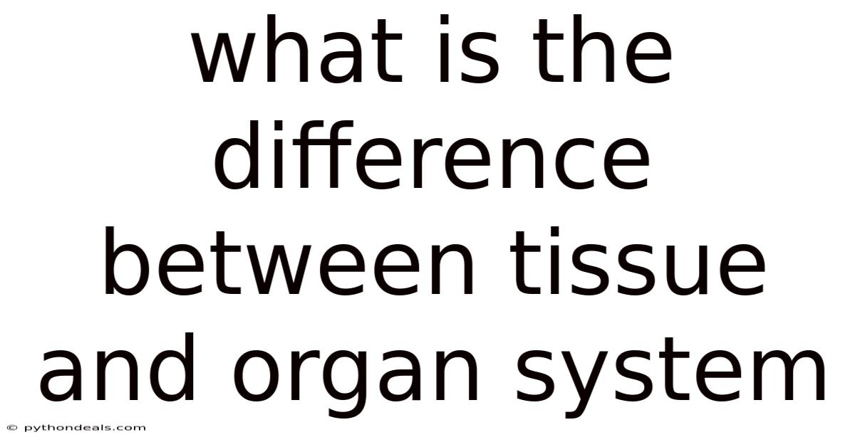 What Is The Difference Between Tissue And Organ System