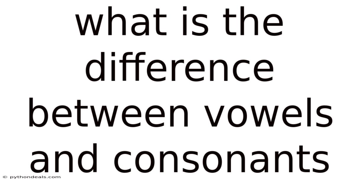 What Is The Difference Between Vowels And Consonants