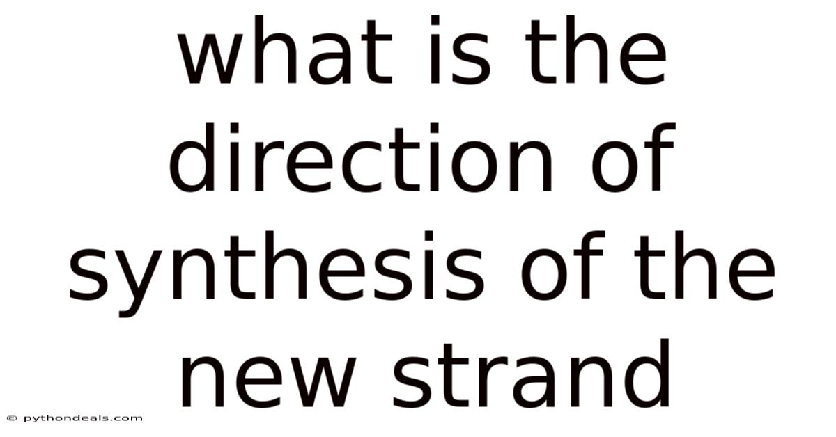 What Is The Direction Of Synthesis Of The New Strand