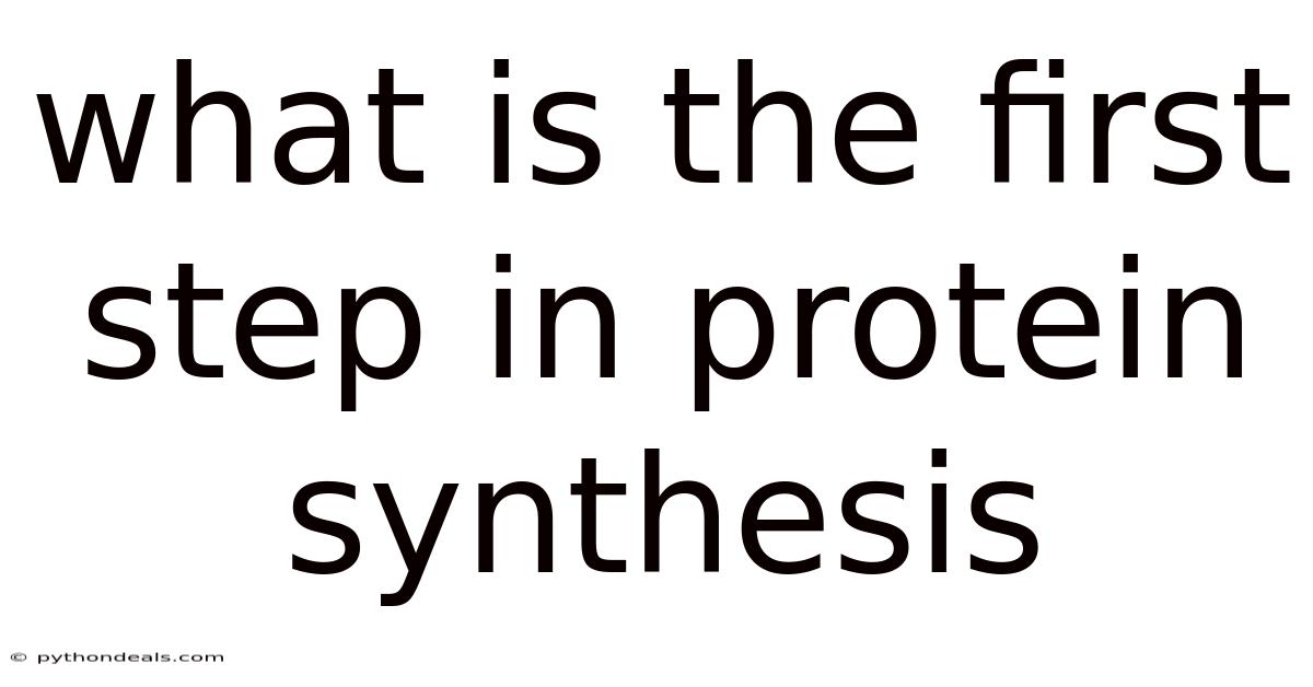 What Is The First Step In Protein Synthesis