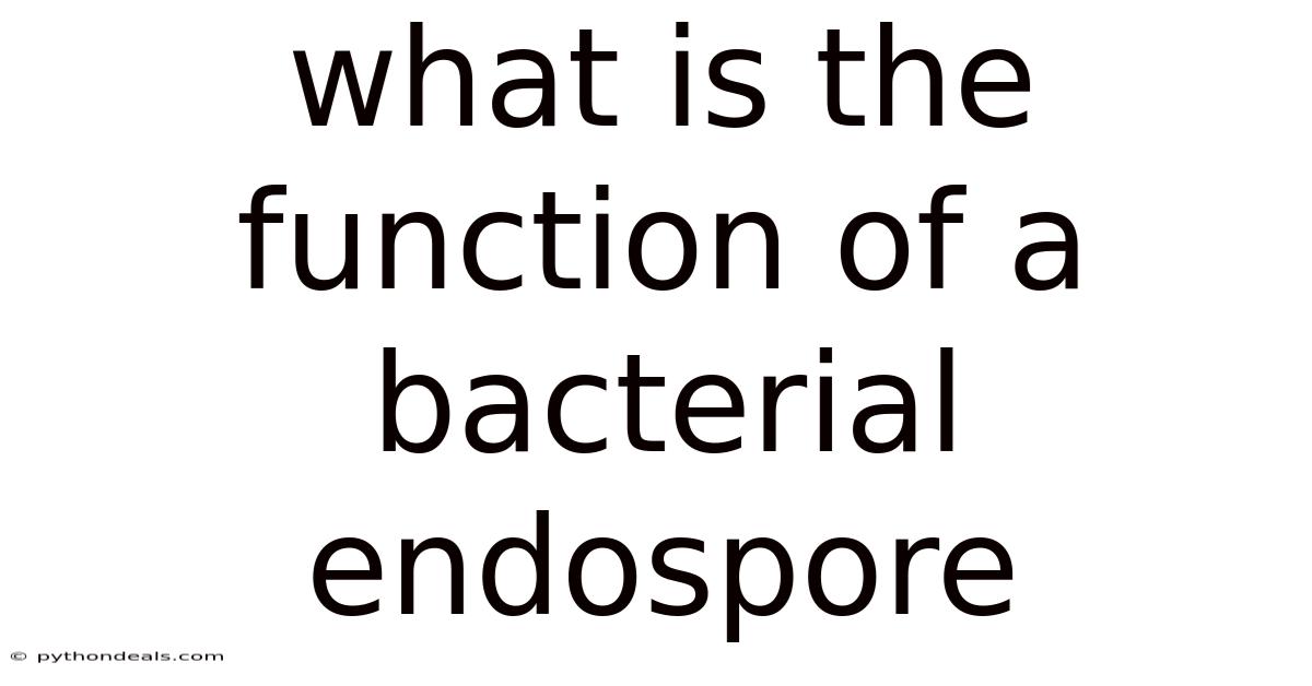 What Is The Function Of A Bacterial Endospore