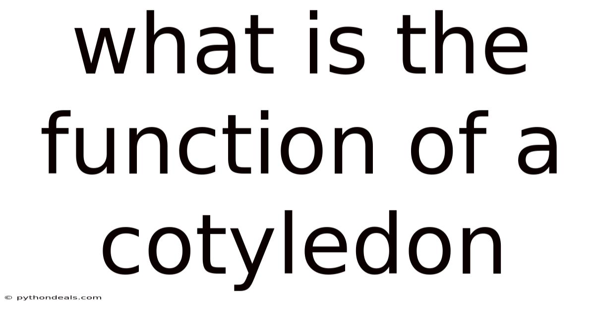 What Is The Function Of A Cotyledon