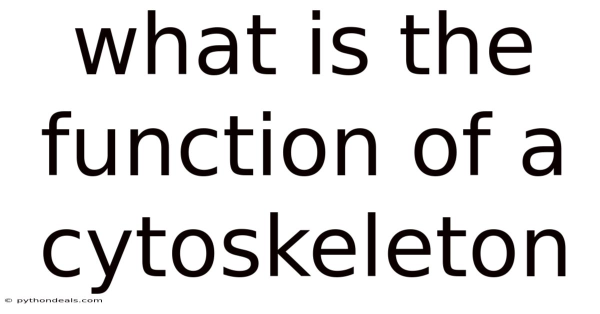 What Is The Function Of A Cytoskeleton