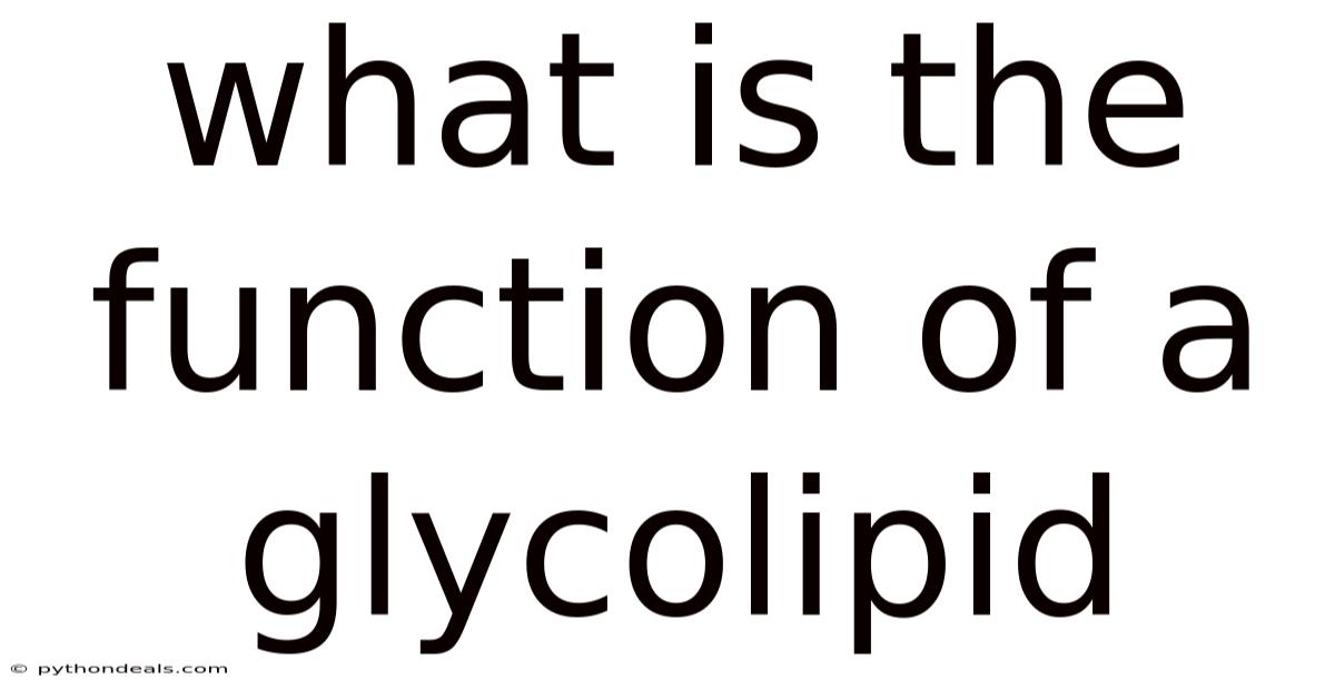 What Is The Function Of A Glycolipid