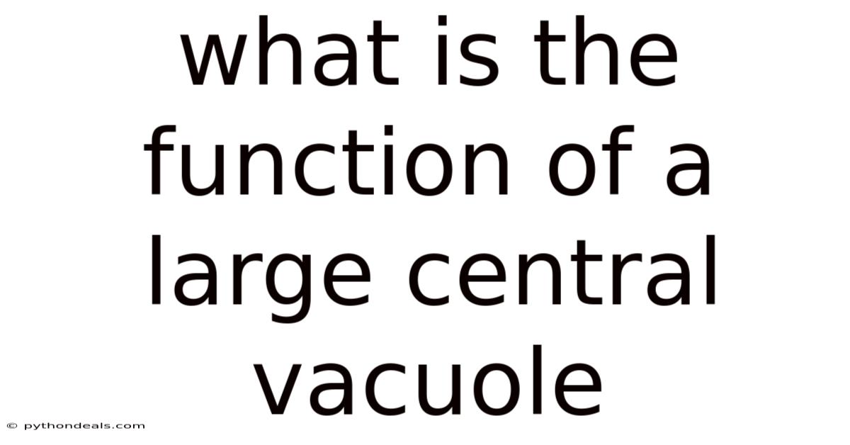 What Is The Function Of A Large Central Vacuole