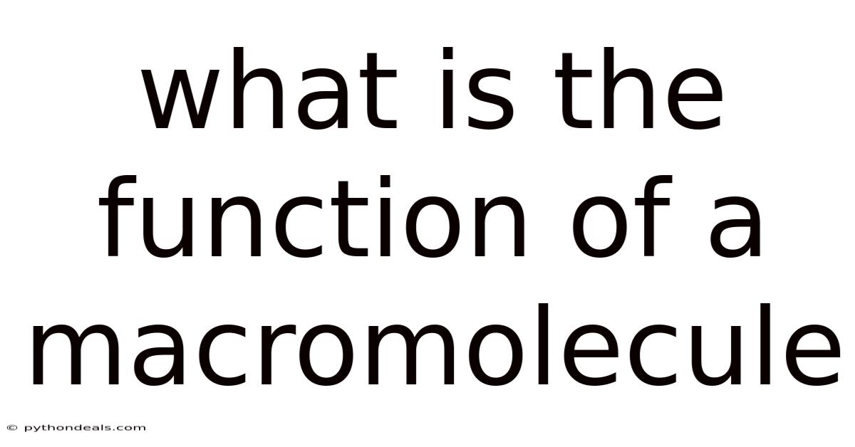 What Is The Function Of A Macromolecule
