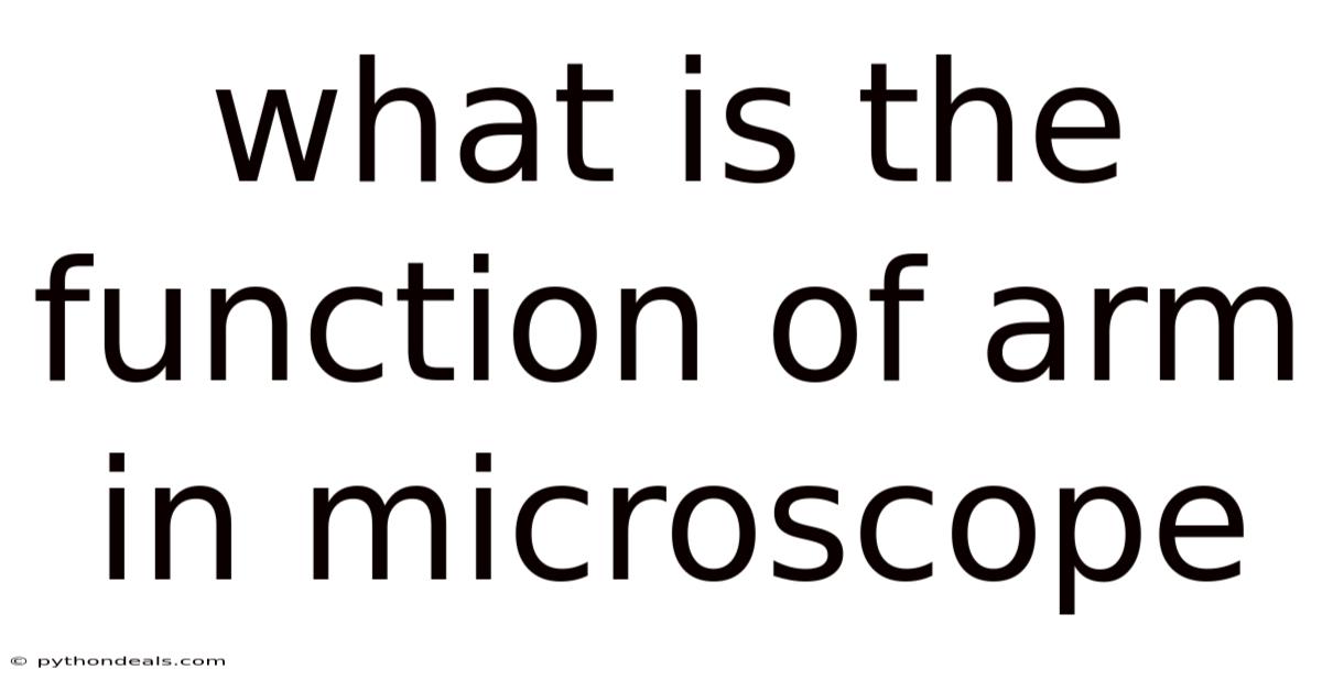 What Is The Function Of Arm In Microscope