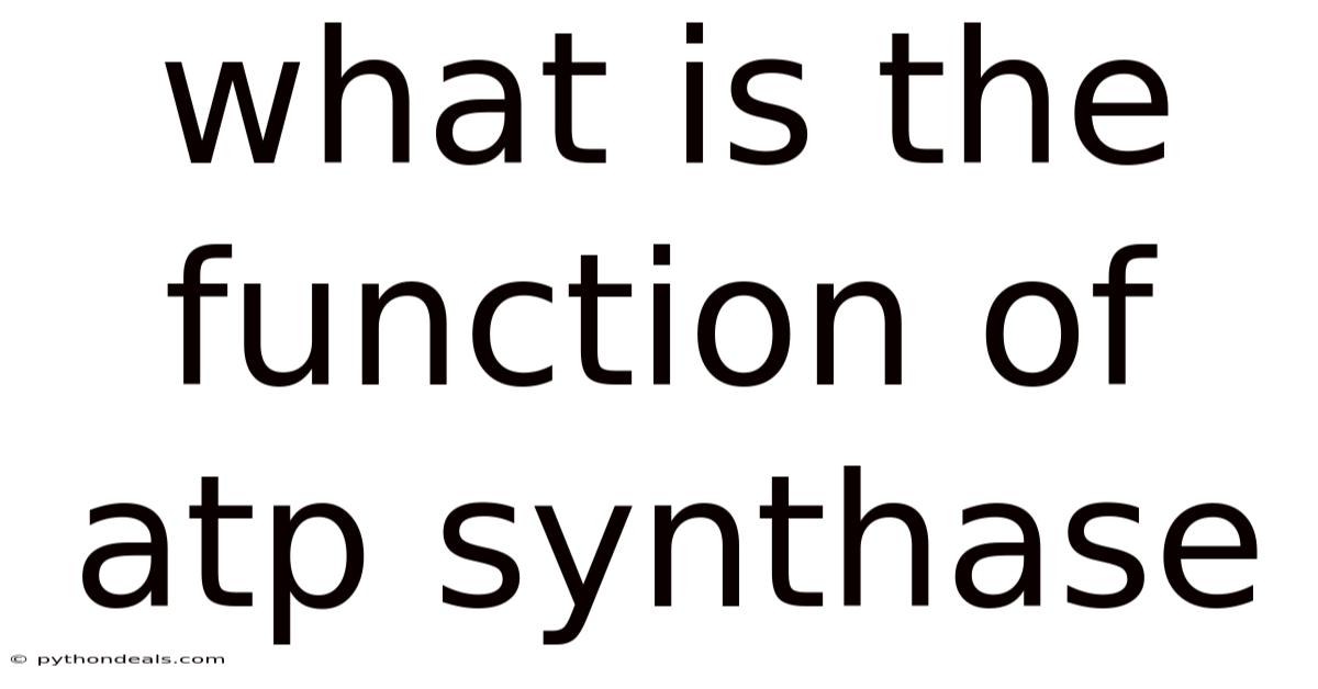 What Is The Function Of Atp Synthase