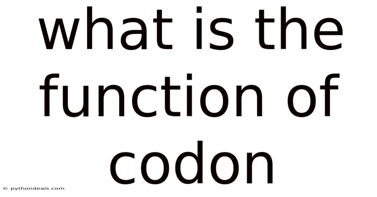 What Is The Function Of Codon
