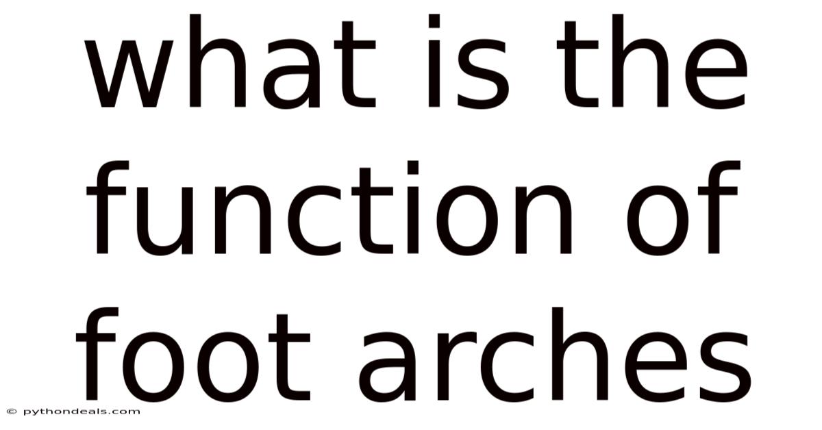 What Is The Function Of Foot Arches