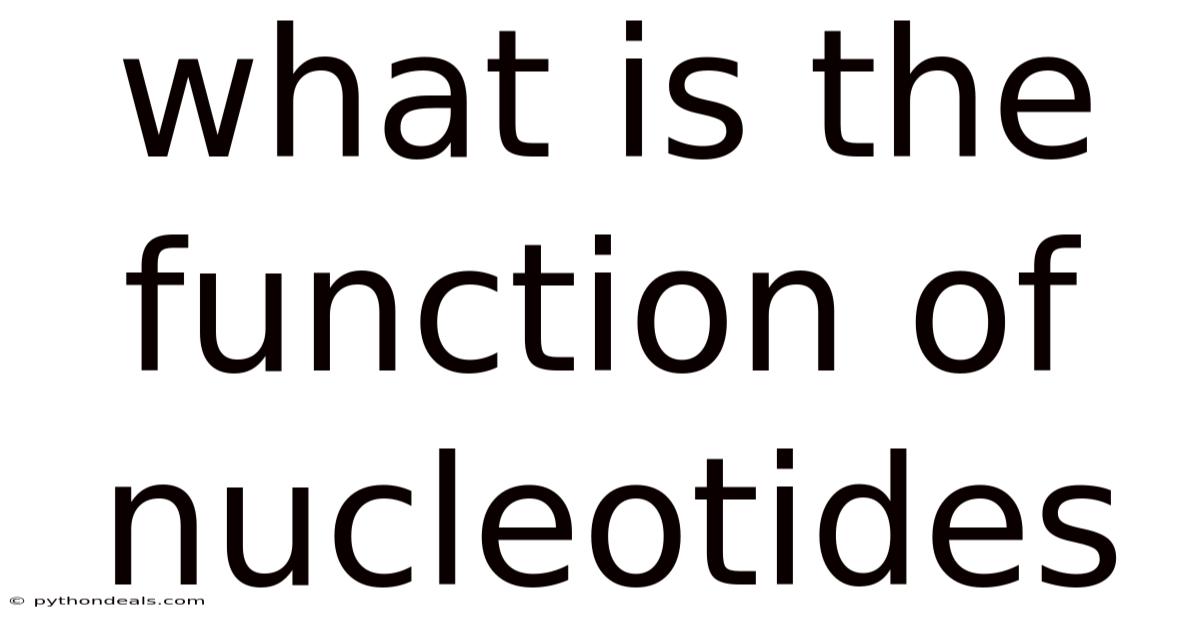 What Is The Function Of Nucleotides