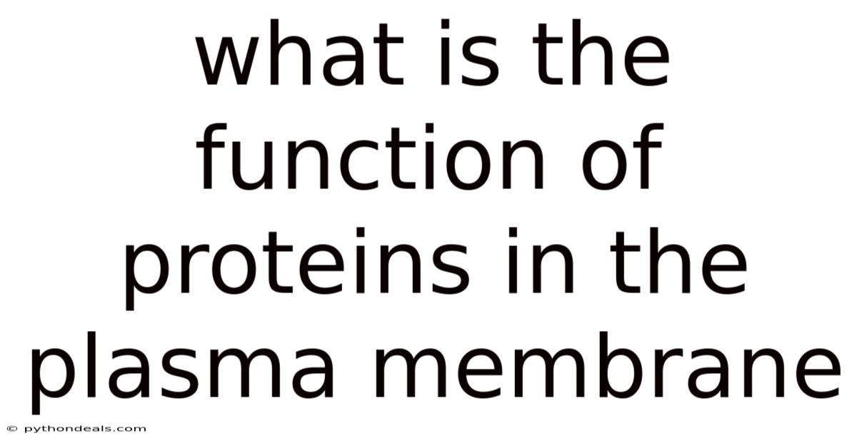 What Is The Function Of Proteins In The Plasma Membrane