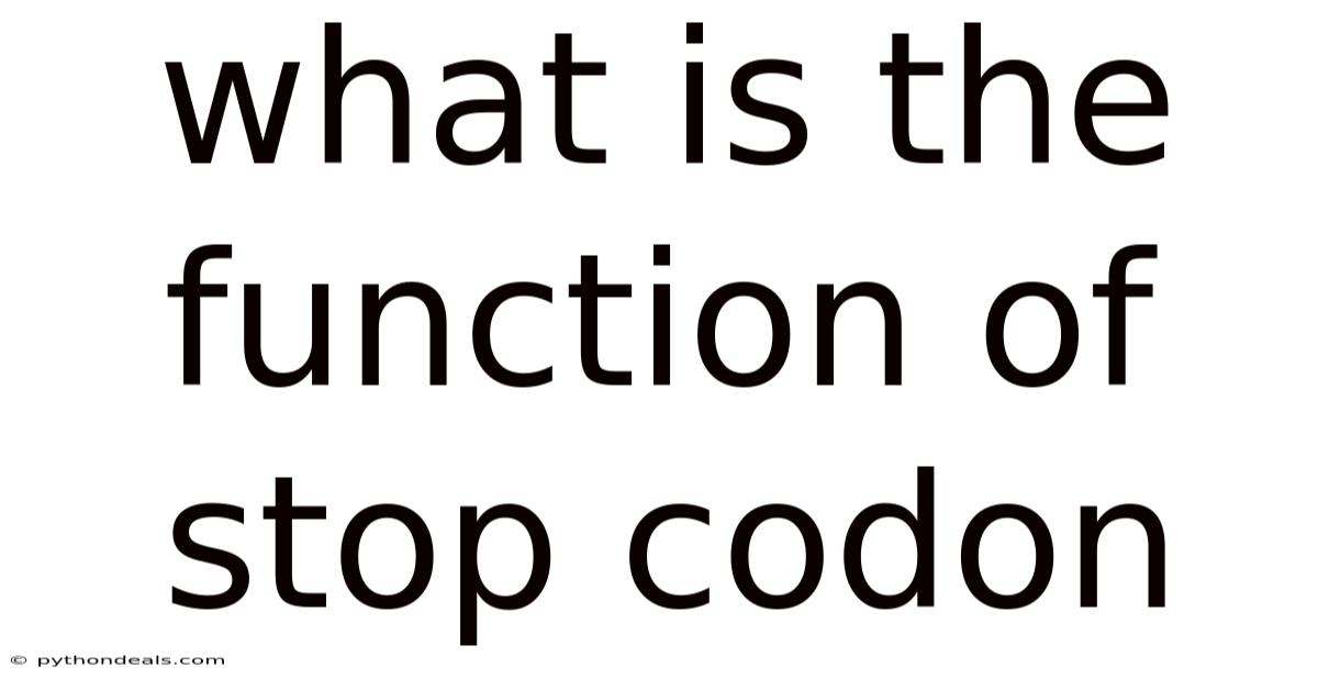 What Is The Function Of Stop Codon