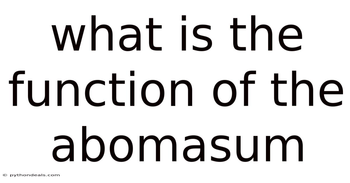 What Is The Function Of The Abomasum
