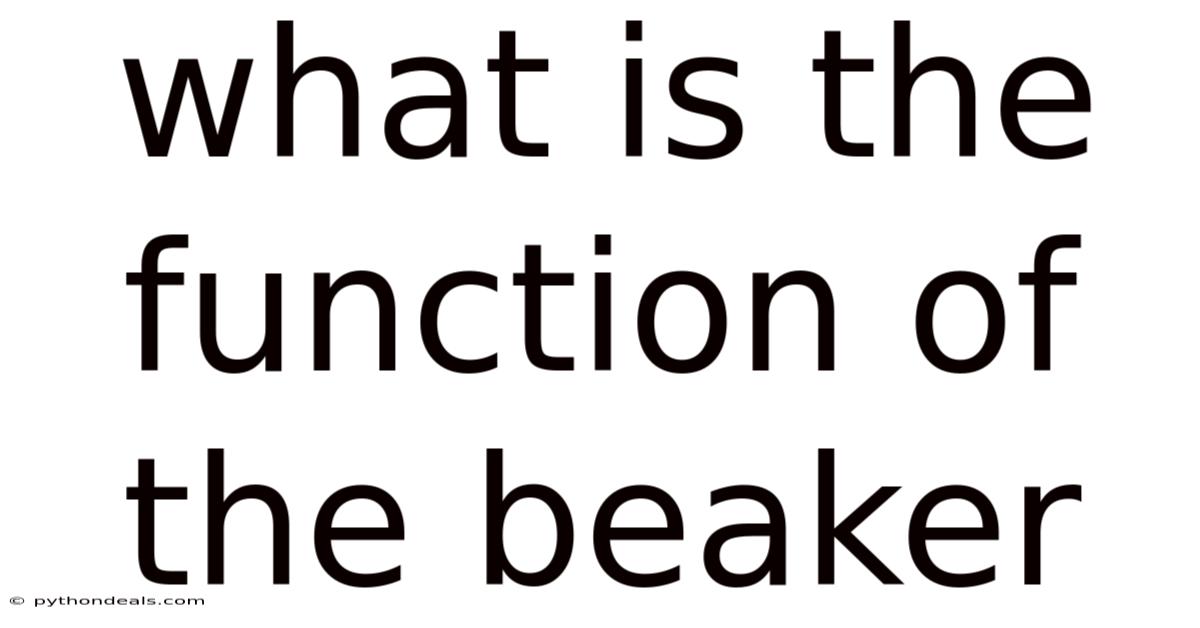 What Is The Function Of The Beaker