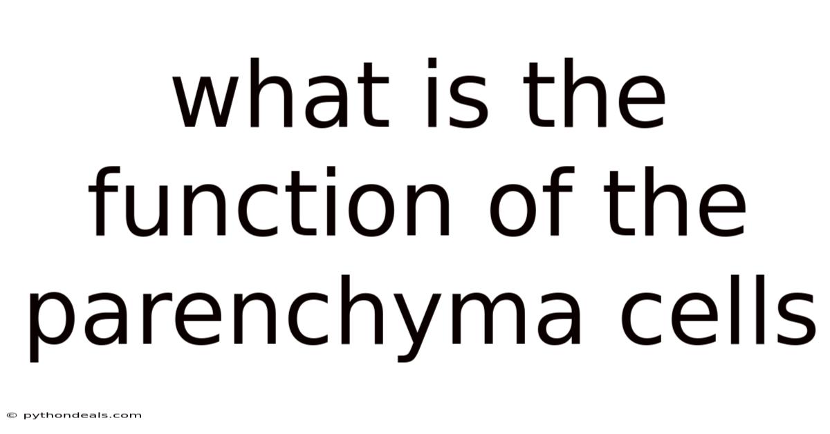 What Is The Function Of The Parenchyma Cells