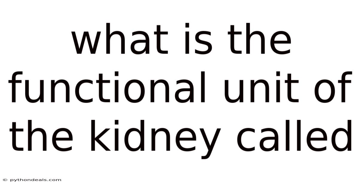 What Is The Functional Unit Of The Kidney Called