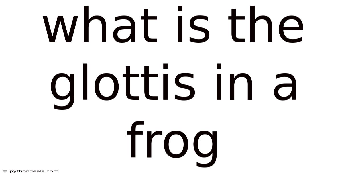 What Is The Glottis In A Frog