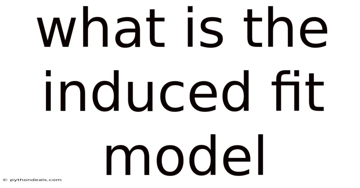 What Is The Induced Fit Model