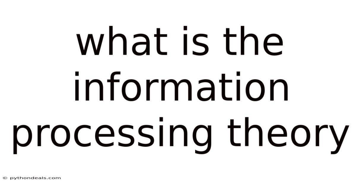 What Is The Information Processing Theory