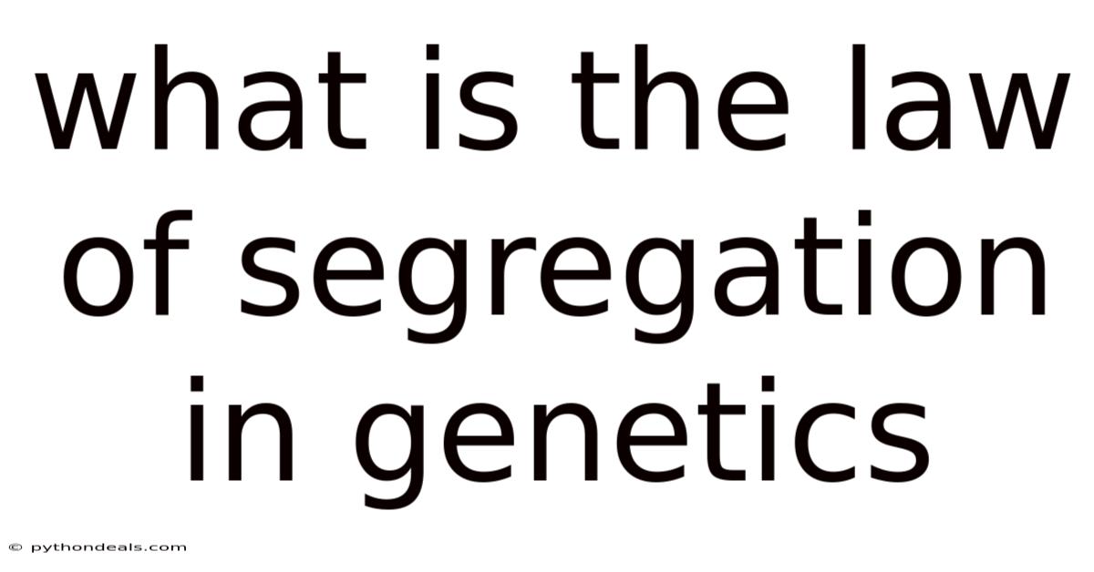 What Is The Law Of Segregation In Genetics