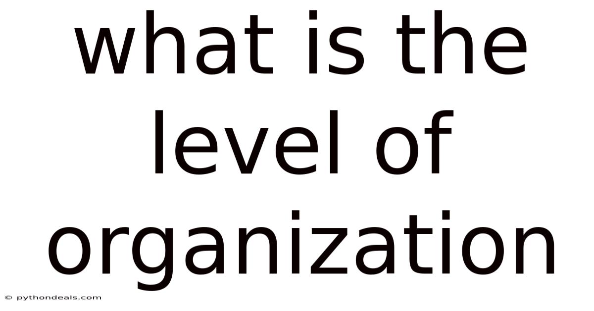 What Is The Level Of Organization