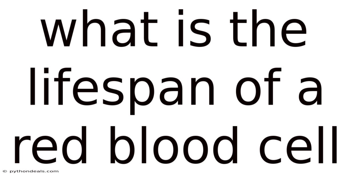 What Is The Lifespan Of A Red Blood Cell
