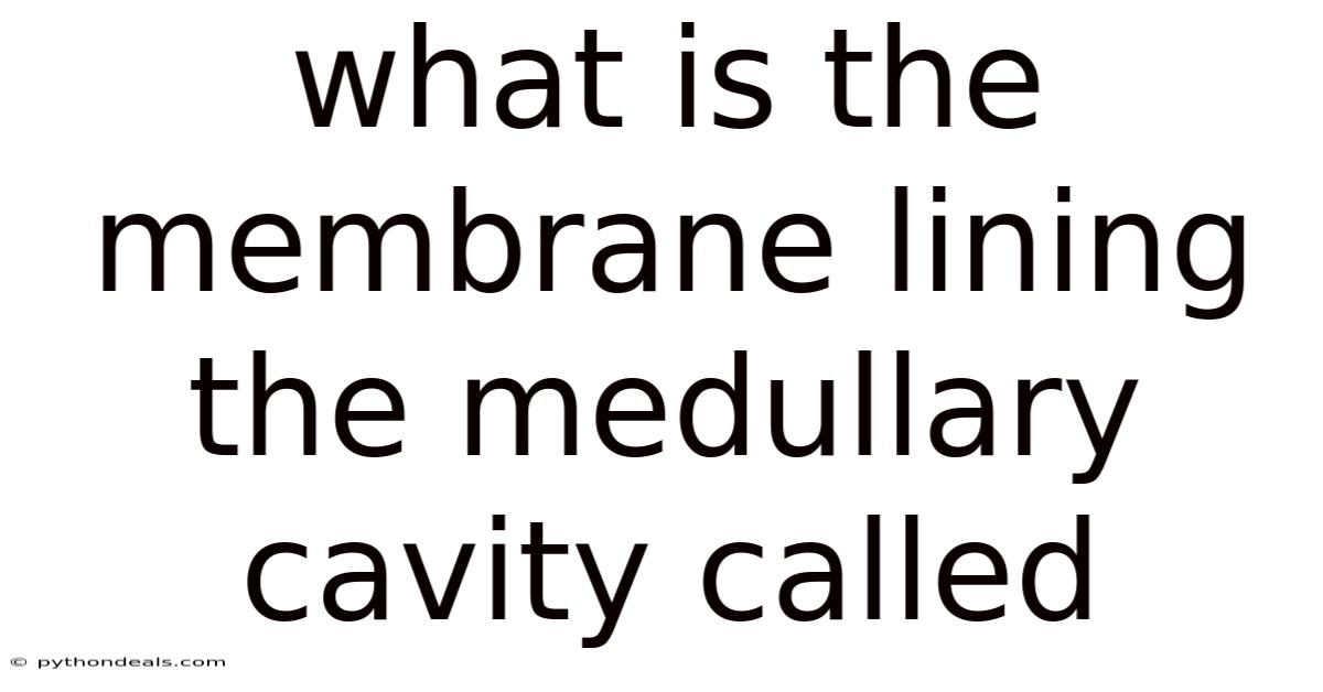 What Is The Membrane Lining The Medullary Cavity Called