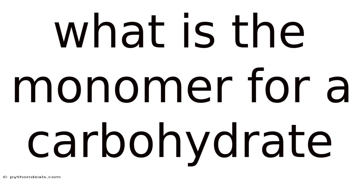 What Is The Monomer For A Carbohydrate