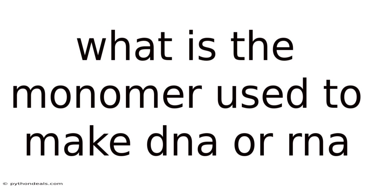 What Is The Monomer Used To Make Dna Or Rna