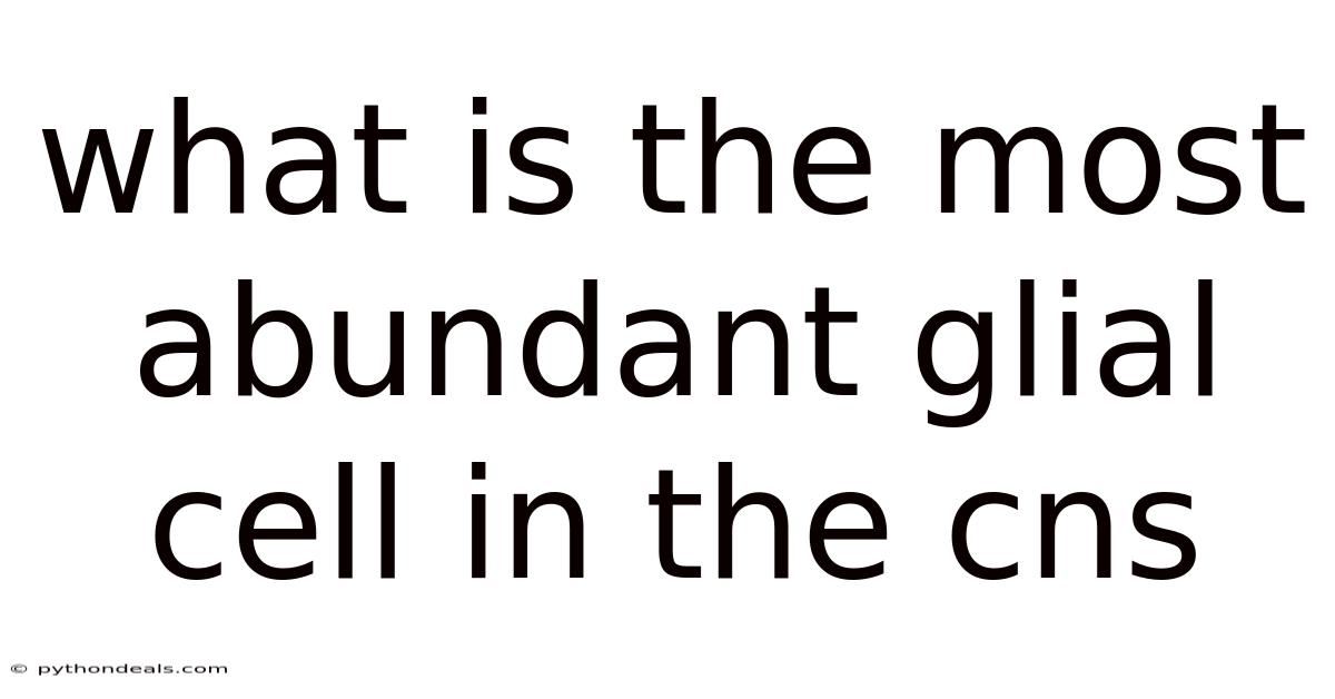 What Is The Most Abundant Glial Cell In The Cns