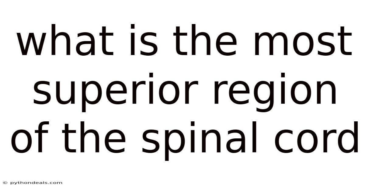 What Is The Most Superior Region Of The Spinal Cord