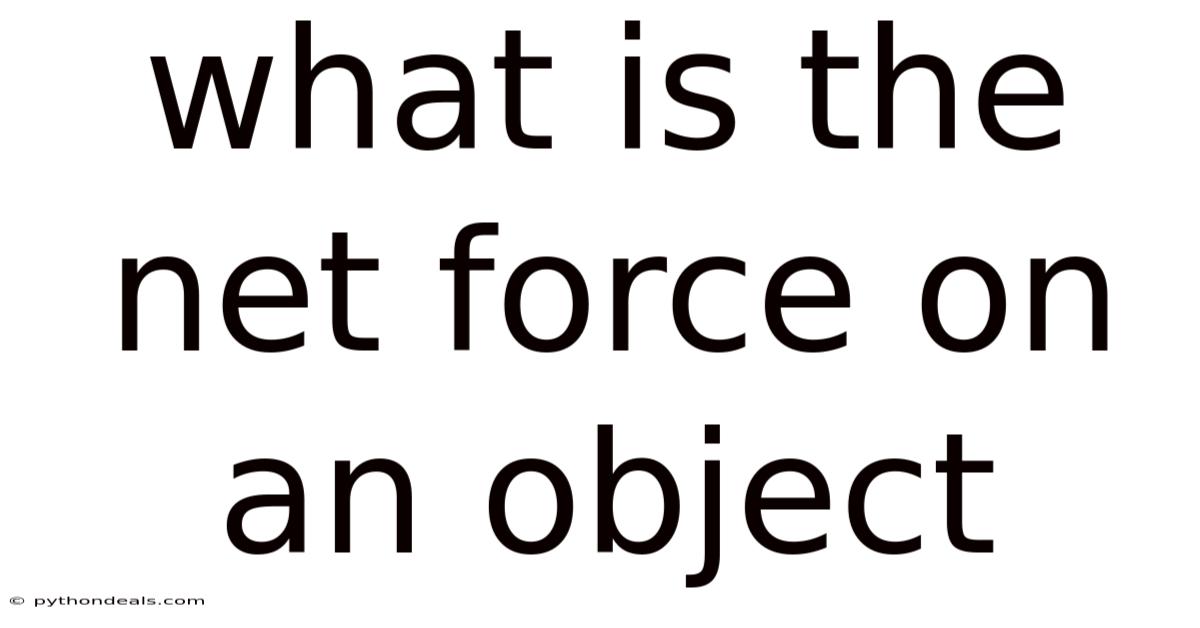 What Is The Net Force On An Object