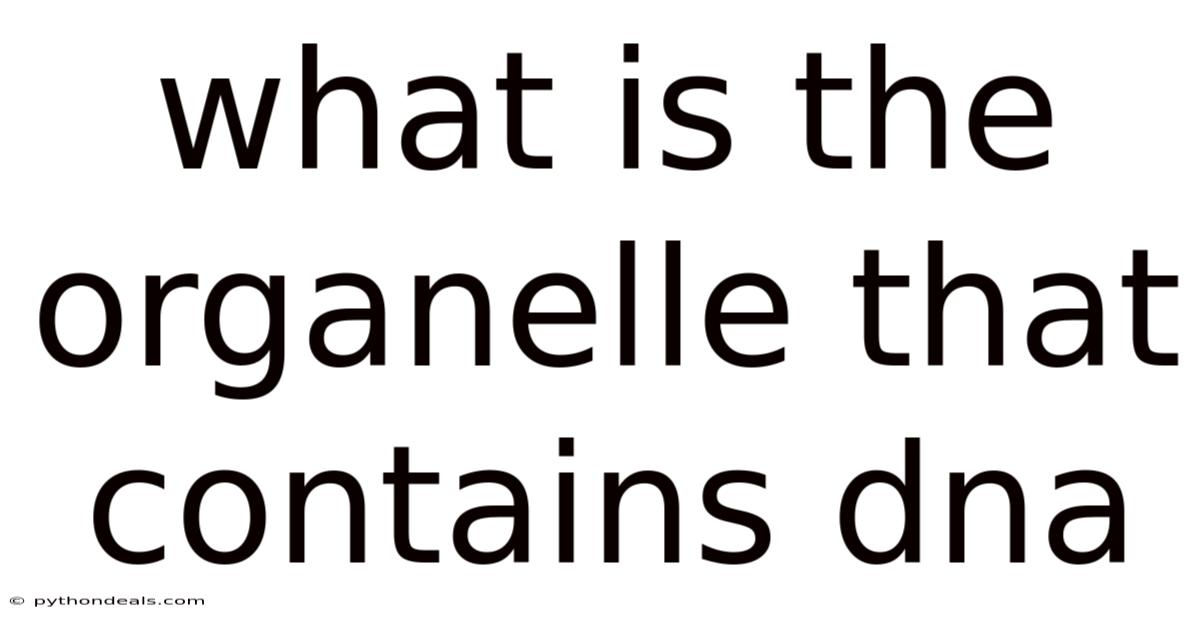 What Is The Organelle That Contains Dna