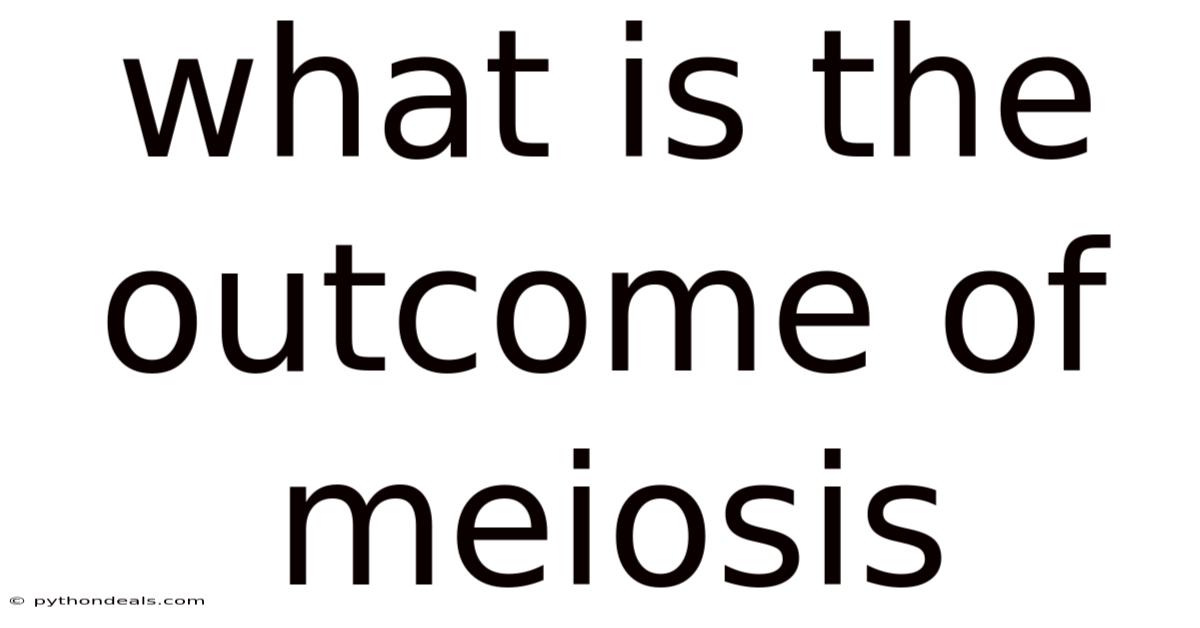 What Is The Outcome Of Meiosis
