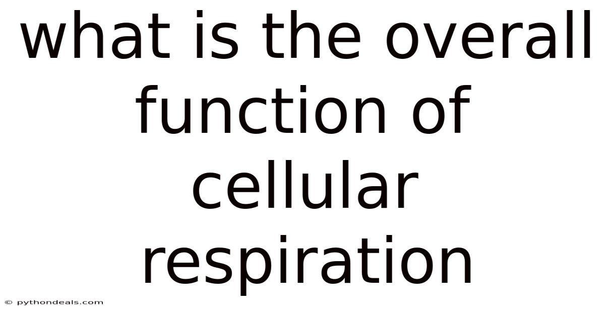 What Is The Overall Function Of Cellular Respiration