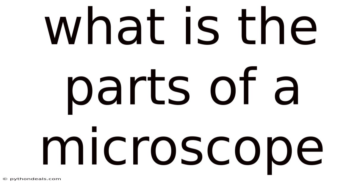 What Is The Parts Of A Microscope