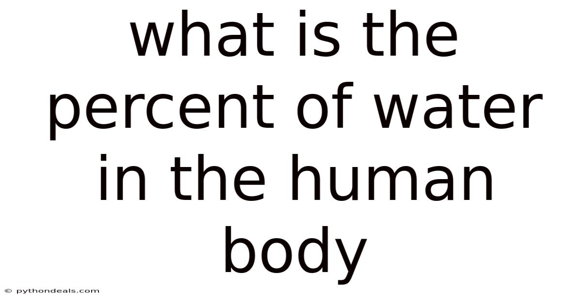What Is The Percent Of Water In The Human Body