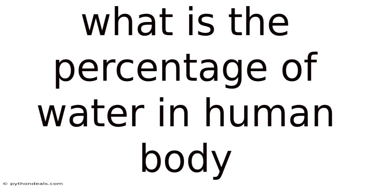 What Is The Percentage Of Water In Human Body