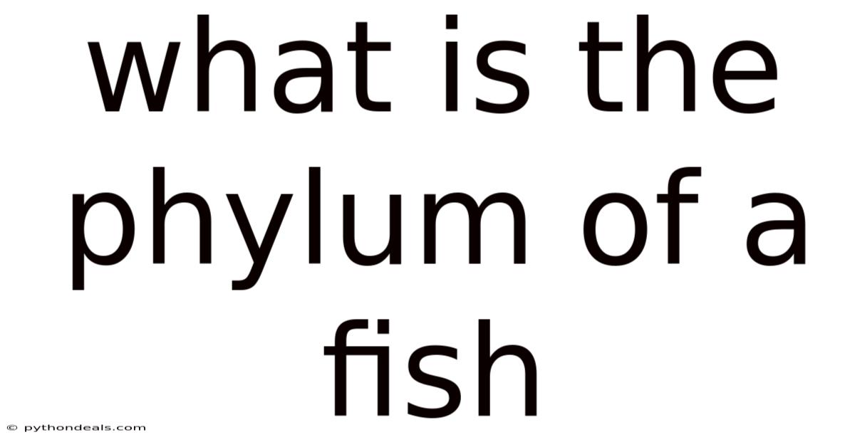 What Is The Phylum Of A Fish