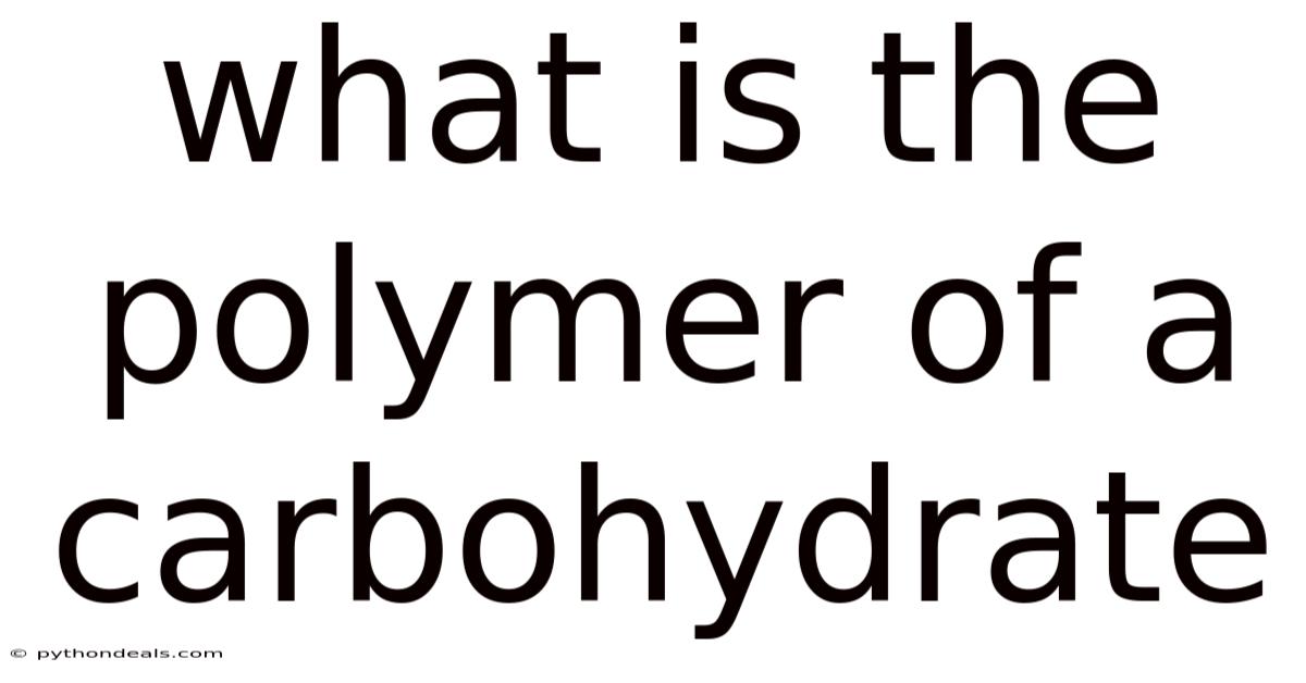 What Is The Polymer Of A Carbohydrate