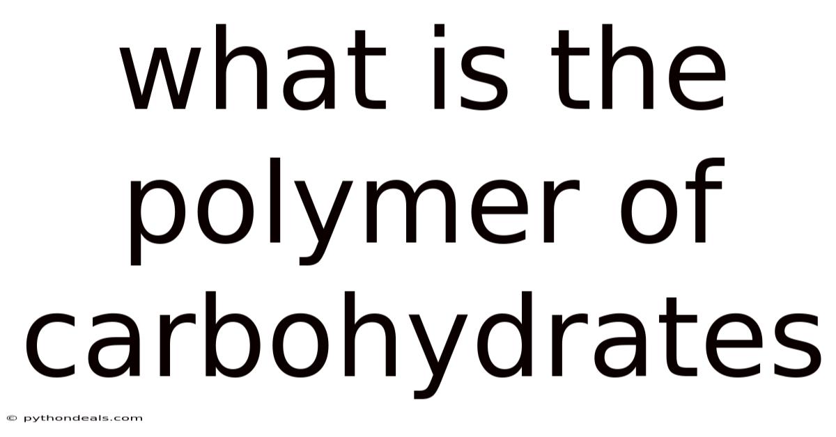 What Is The Polymer Of Carbohydrates