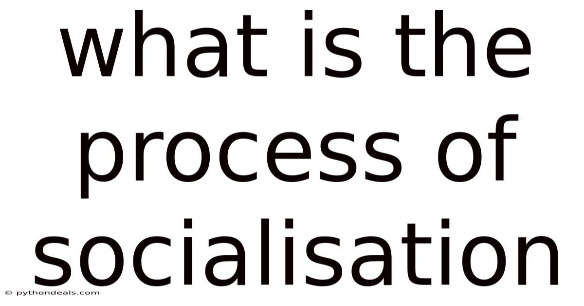 What Is The Process Of Socialisation