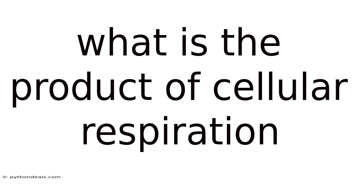 What Is The Product Of Cellular Respiration