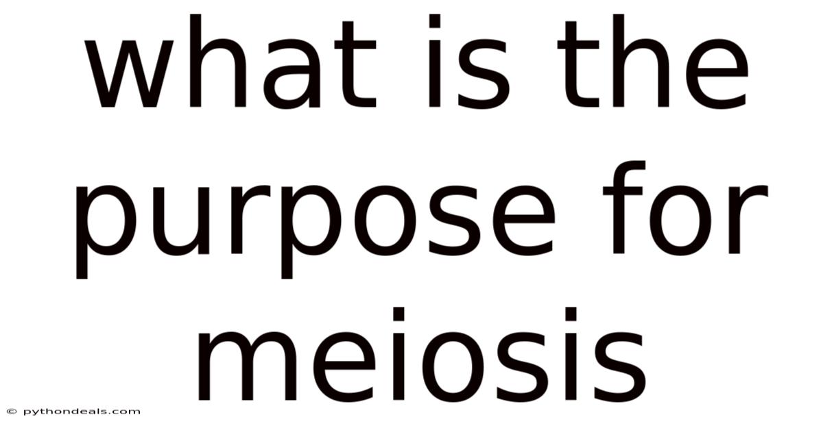 What Is The Purpose For Meiosis