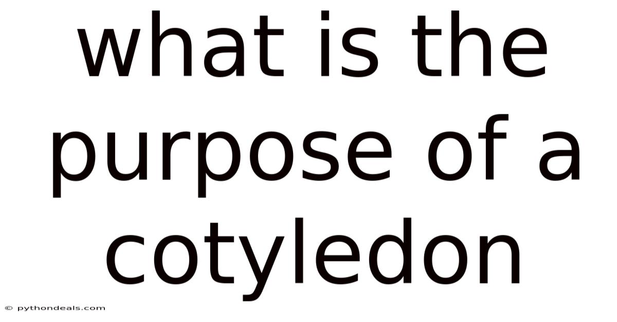 What Is The Purpose Of A Cotyledon