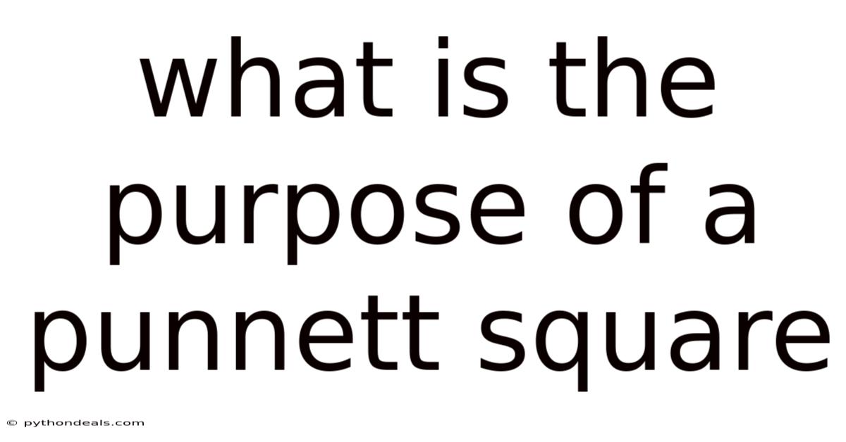 What Is The Purpose Of A Punnett Square