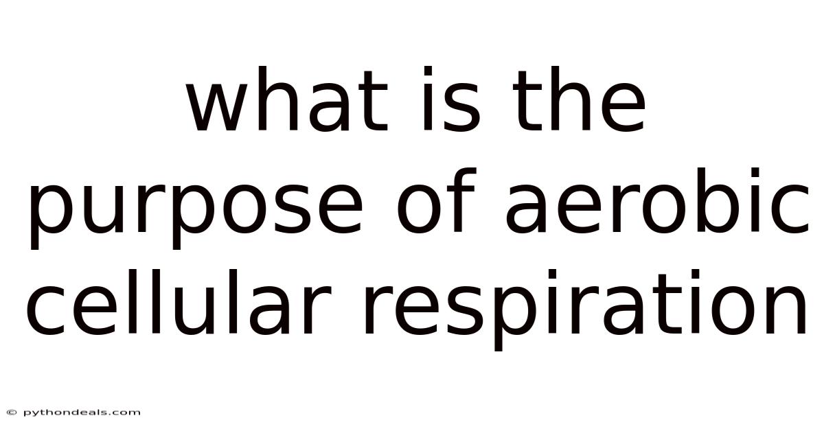 What Is The Purpose Of Aerobic Cellular Respiration